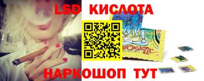 гашик Кандалакша