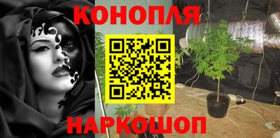 СК Камышлов