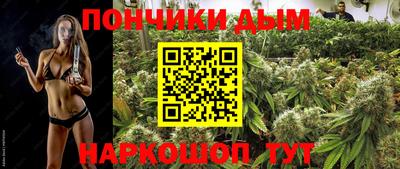 гашик Кандалакша