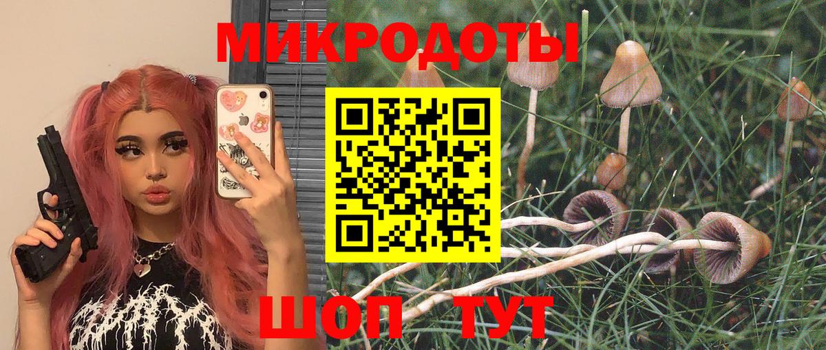 Галлюциногенные грибы прущие грибы Коряжма
